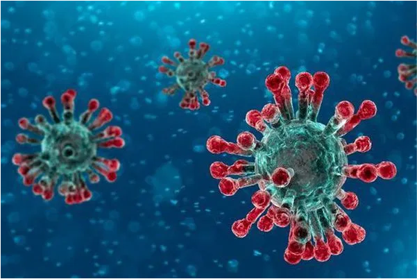 Coronavirus: Morocco to evacuate nationals from Wuhan area