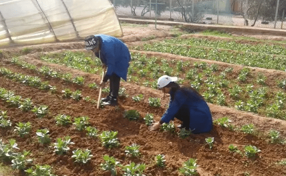 Morocco Invests $36 Million to Assist Farmers