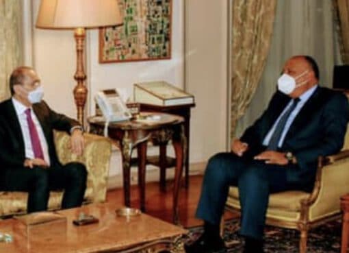 وزير الخارجية المصري يناقش القضية الفلسطينية مع نظيره الأردني