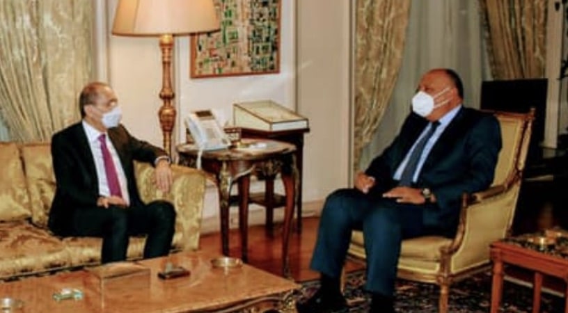 وزير الخارجية المصري يناقش القضية الفلسطينية مع نظيره الأردني