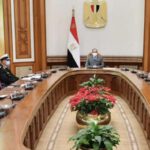 الرئيس المصري يبحث نقل تكنولوجيا بناء السفن إلى مصر مع الجانب الألماني