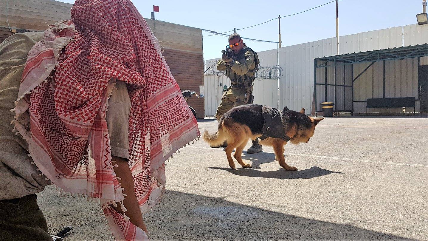 Israeli Shooting Range Offers Tourists to shoot Palestinian-Looking Targets