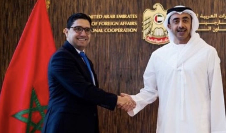 UAE Discusses Moroccan Sahara with Morocco